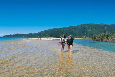 A small group of hikers wearing daypacks, walk through the shallow coastal waters of Abel Tasman's Estuary.