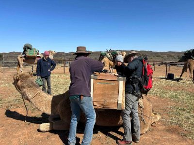 Our trekking group help load the camels