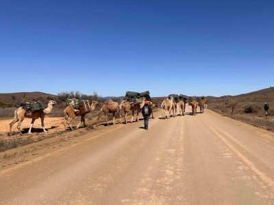 We crossed the road and fairly quickly, the property we started on was out of view - Camel Trek Day 1