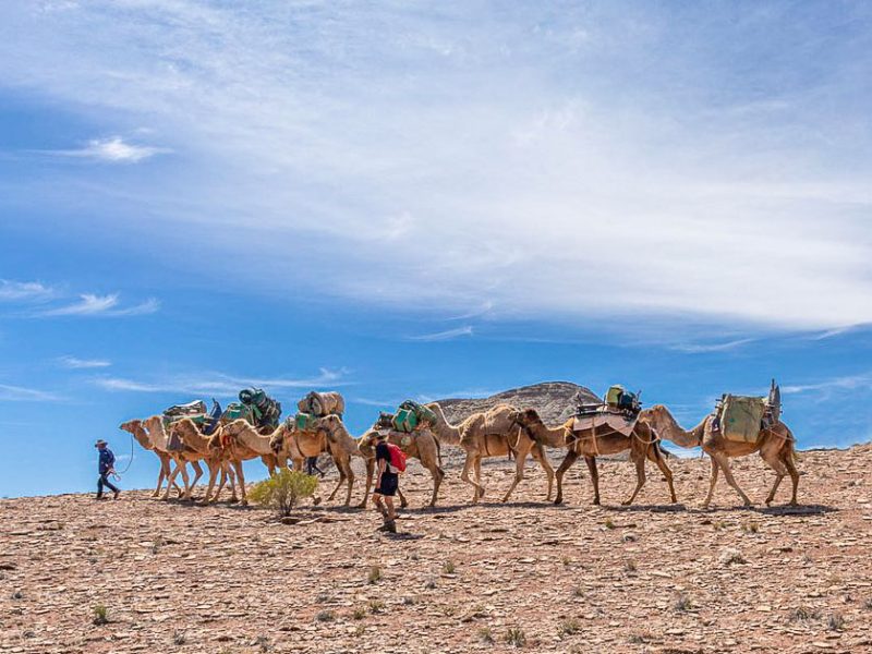 Camel　Women's　Far　Trek,　North　Flinders　South　Australia