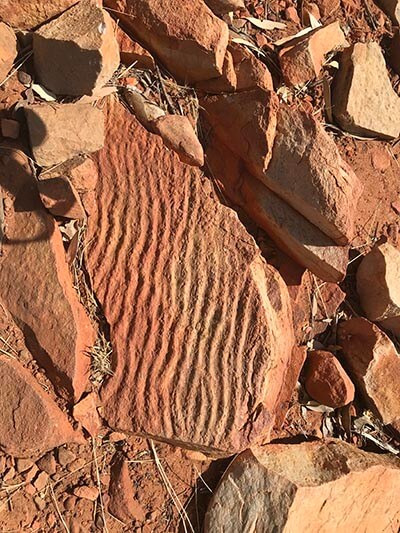 Completing-the-Larapinta-Trail-fossil-rocks