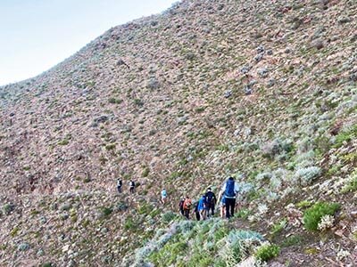 Far-North-Flinders-Ranges-walking-weekender-for-women-narrow-mountain-trail