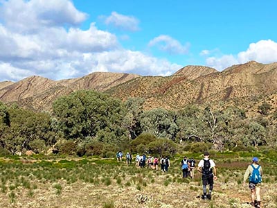 Far-North-Flinders-Ranges-walking-group