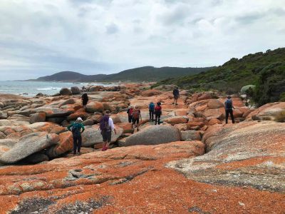 A small group of people scattered over orange lichen covered rocks.