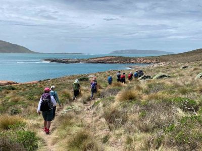 A tour group walk along a coastal trail on the Flinders Island Experience.