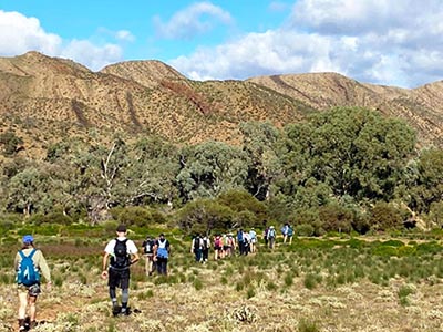 Flinders-Ranges-Heysen-Trail-1