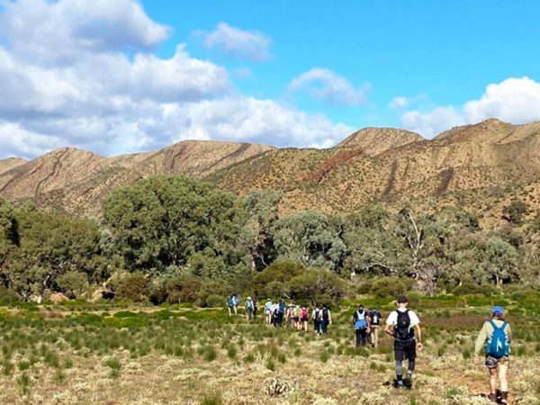 Flinders-ranges-highlights-hiking-the-trails-on-tour