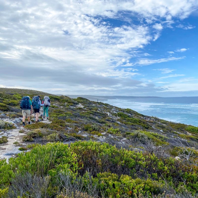 Hikers along the reopened KIWT