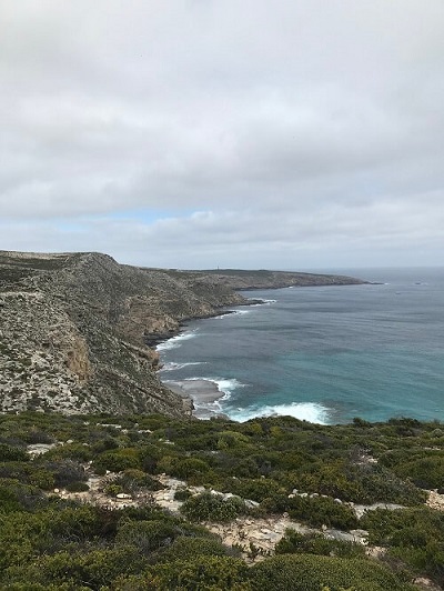 KIWT-Fire-Recovery-Experience-Kangaroo-Island-Wilderness-Trail-maupertuis-section