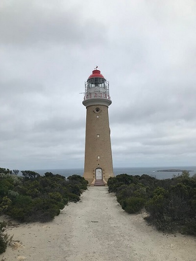 KIWT-Fire-Recovery-Experience-Kangaroo-Island-Wilderness-Trail-cape-du-couedic-lighthouse