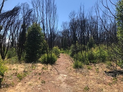 KIWT-Fire-Recovery-Experience-Kangaroo-Island-Wilderness-Trail-rocky-river-section