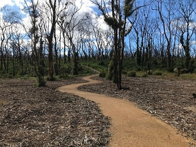 Kangaroo-Island-Wilderness-Trail-kelly-hill-section