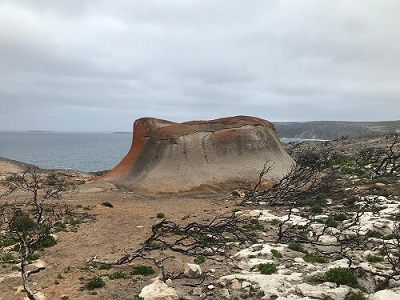 Kangaroo-Island-Wilderness-Trail-Fire-Recovery-Experience-guided-walking-tour-remarkable-rocks