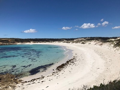 Kangaroo-Island-Wilderness-Trail-Fire-Recovery-Experience-guided-walking-tour-hansen-bay
