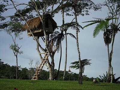 Papua-New-Guinea-walking-tours-wellness-walks-treehouse