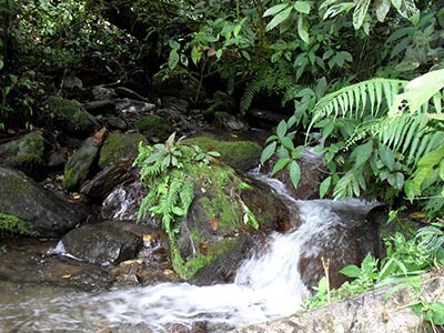 Kokoda-track-walking-tours-wellness-walks-waterfall