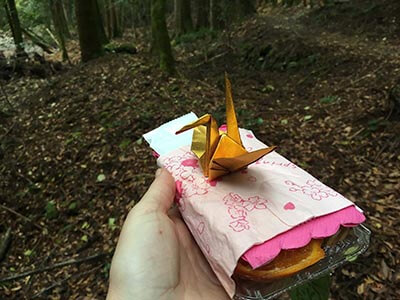 Kumano-Kodo-wellness-walks-walking-tours-origami-lunch