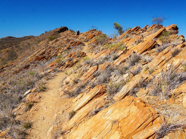 Larapinta-Trail-Challenge-wellness-walks-rocky-trail