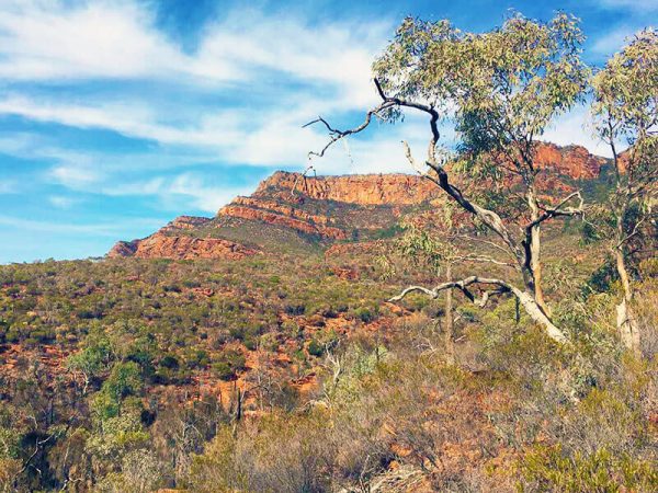 Northern-Flinders-Ranges-walking-tour-for-women-red-mountains
