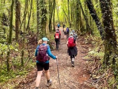 A small group of walkers wearing backpacks are turned away from the camera as they make their way along a forested track.