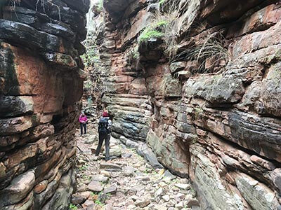 Southern-Flinders-Ranges-walking-tour-for-women-wellness-walks-Aligator-gorge