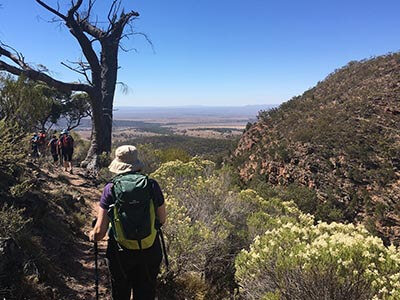 Southern-Flinders-Ranges-walking-tour-for-women-wellness-walks-hiking-ranges-view