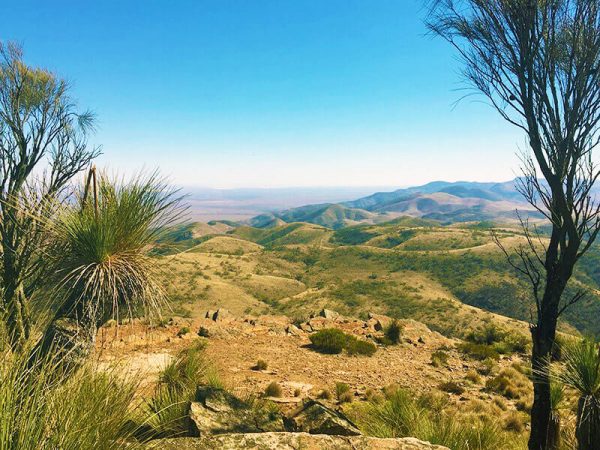 Southern-Flinders-Ranges-walking-tour-for-women-rolling-mountains