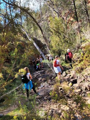 Strong families hiking in Flinders Ranges