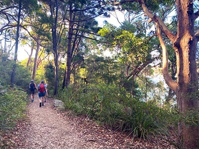 bush-trail-in-Sydney