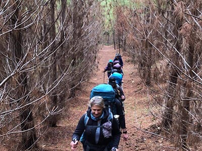 Women's-Kuitpo-Forest-micro-adventure-wellness-walks-hiking-forest