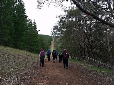 Women's-Mount-Crawford-micro-adventure-wellness-walks-trail