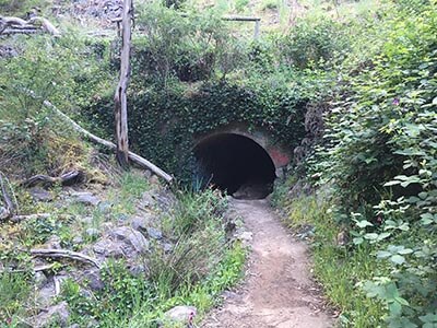 Womens-Yurrebilla-Trail-Micro-Adventure-wellness-walks-Echo-Tunnel