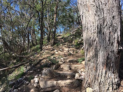 Womens-Yurrebilla-Trail-Micro-Adventure-wellness-walks-rocky-steps