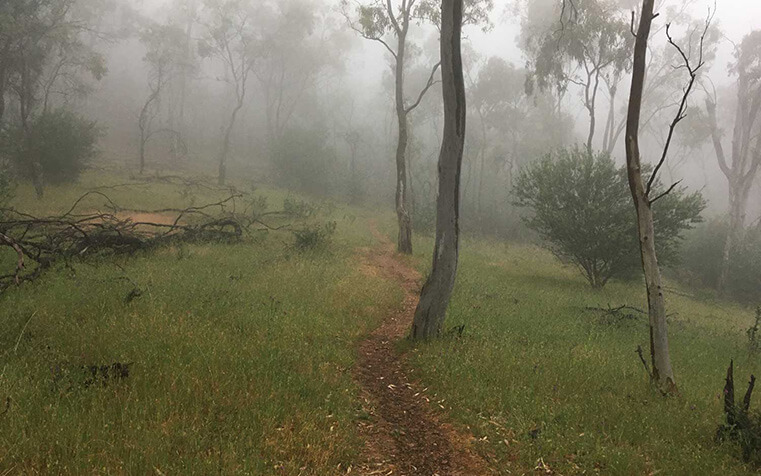 Yurrebilla-Trail-South-Australian-walking-tours-wellness-walks-trail