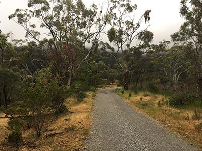 Yurrebilla-Trail-South-Australian-walking-tours-wellness-walks-track