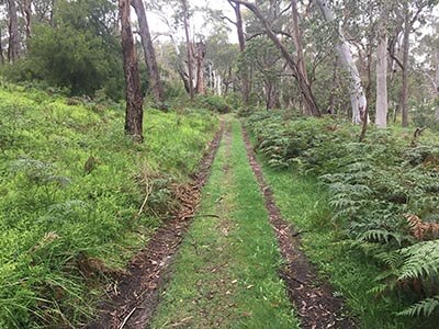 Yurrebilla-Trail-South-Australian-walking-tours-wellness-walks-vehicle-tracks