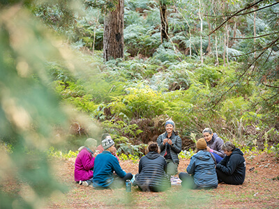 forest-bathing-nature-therapy-adelaide-group