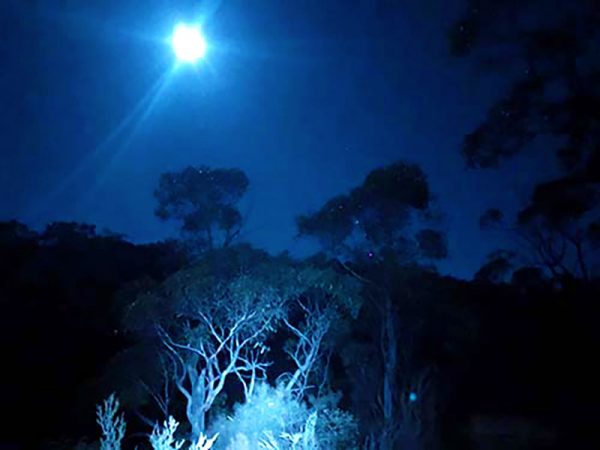 full-moon-hikes-Adelaide-blue-shadows