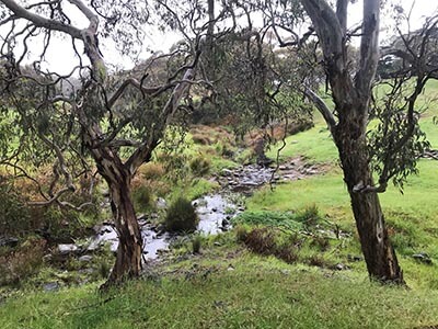 Fleurieu-Peninsula-South-Australian-walking-tours-Balquidder-Creek