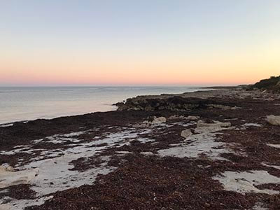 walk-the-yorke-Point-Turton-to-Moonta-Bay-seaweed-beach