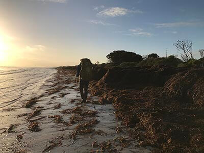 walk-the-yorke-Stenhouse-Bay-to-Point-Turton-seaweed-sunrise