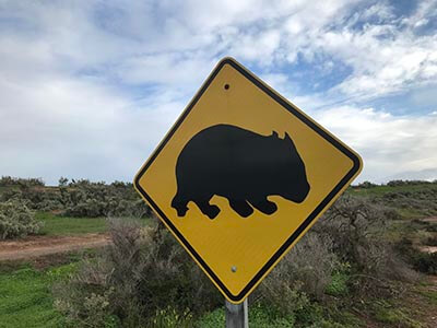 walk-the-yorke-days-1-to-7-wombat-sign
