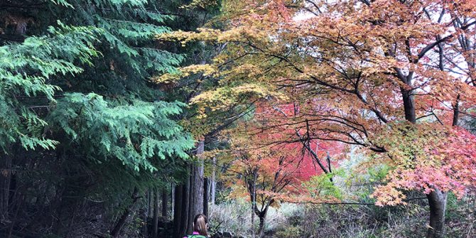 womens-kumano-kodo-walk-wellness-Japan-autumn