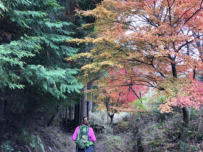 womens-kumano-kodo-walk-wellness-Japan-autumn